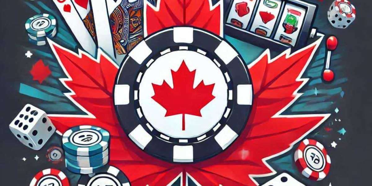 1Win Canada Live Odds Tracker: Your Ultimate Betting Companion