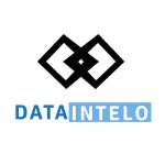 dataintelo1 Profile Picture